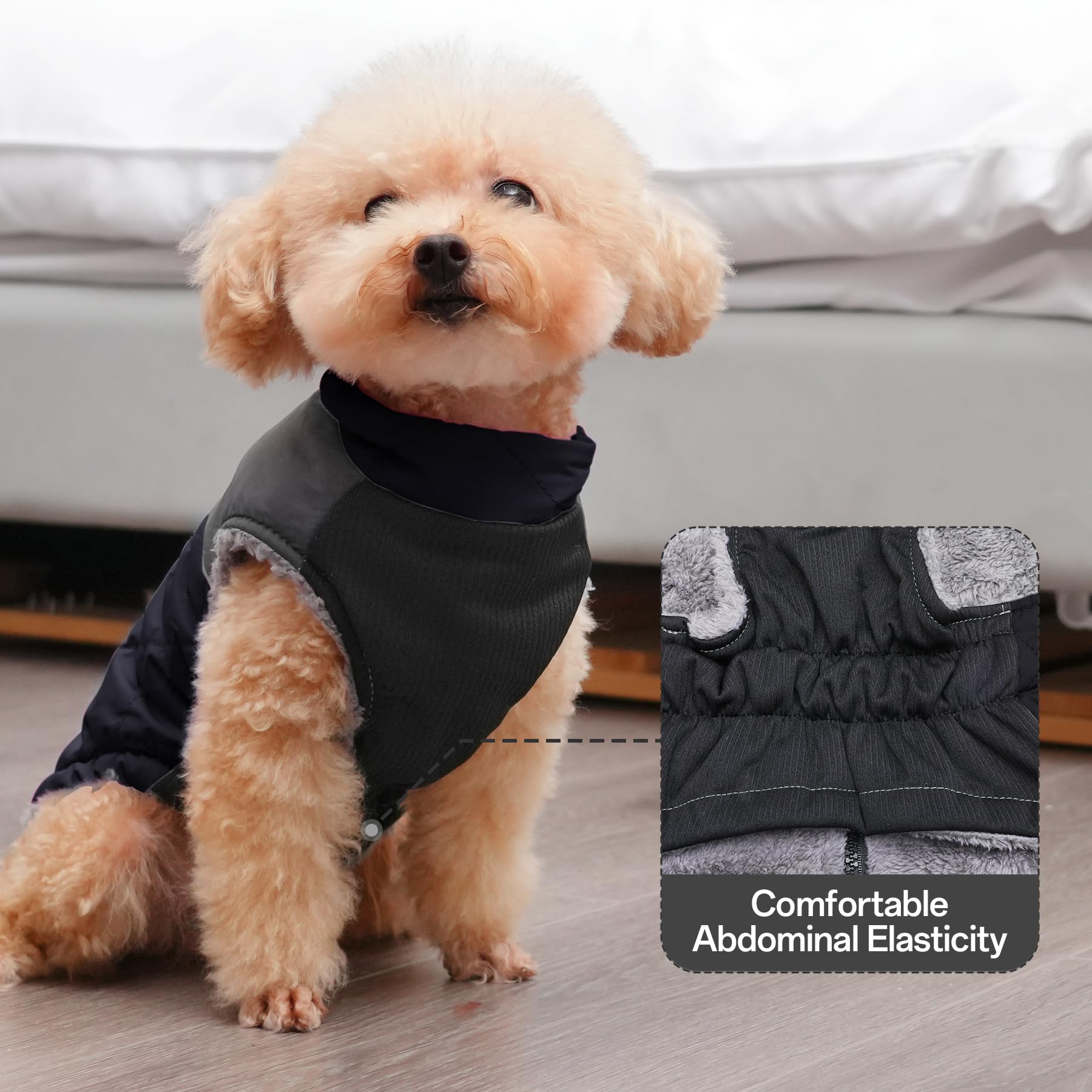 JoyDaog reflective strips boost night visibility for safer walks.