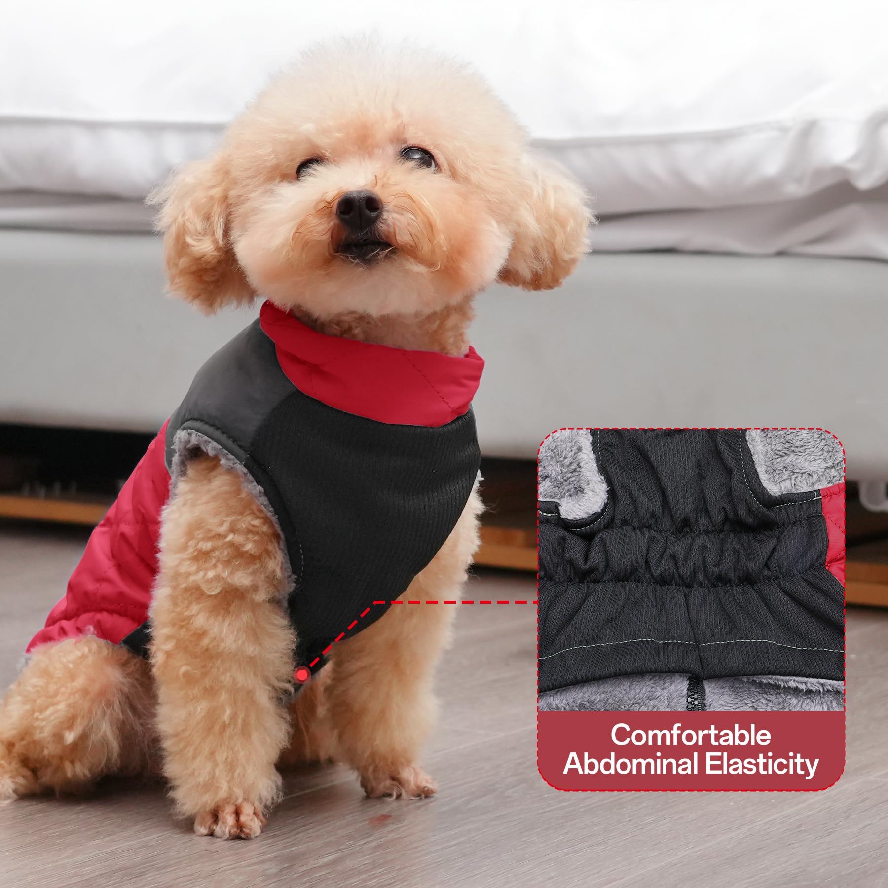 JoyDaog reflective strips improve nighttime visibility
