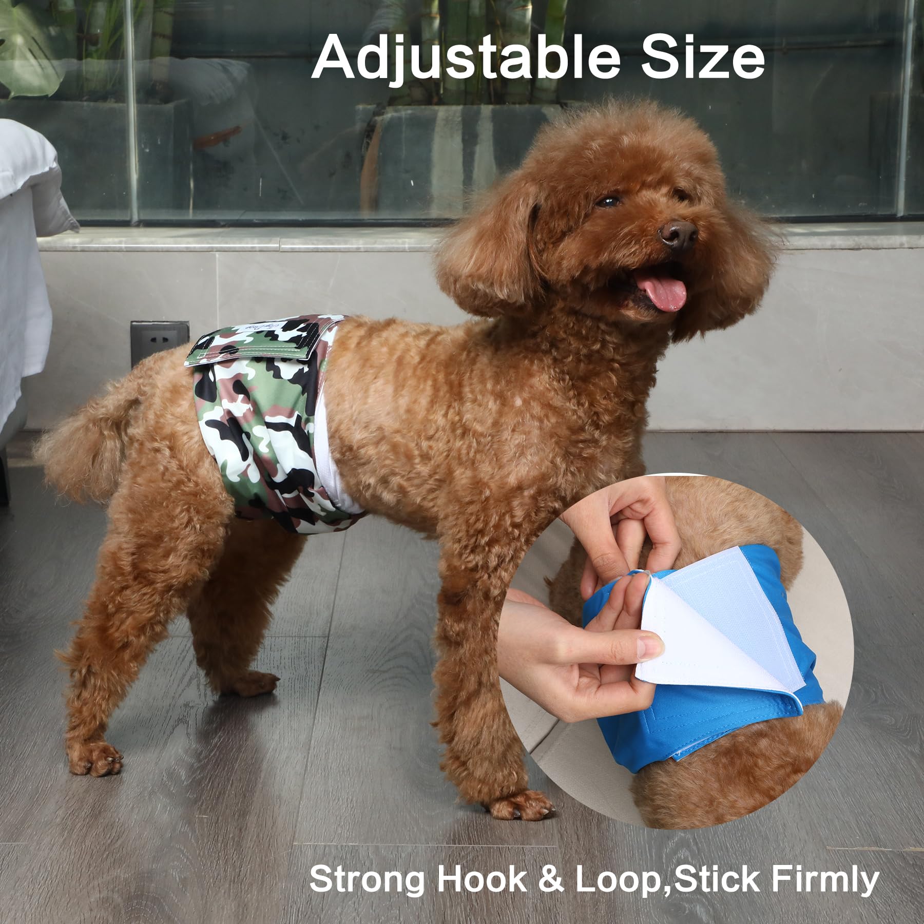JoyDaog L five fashion colors offer stylish, reusable alternative to disposables.