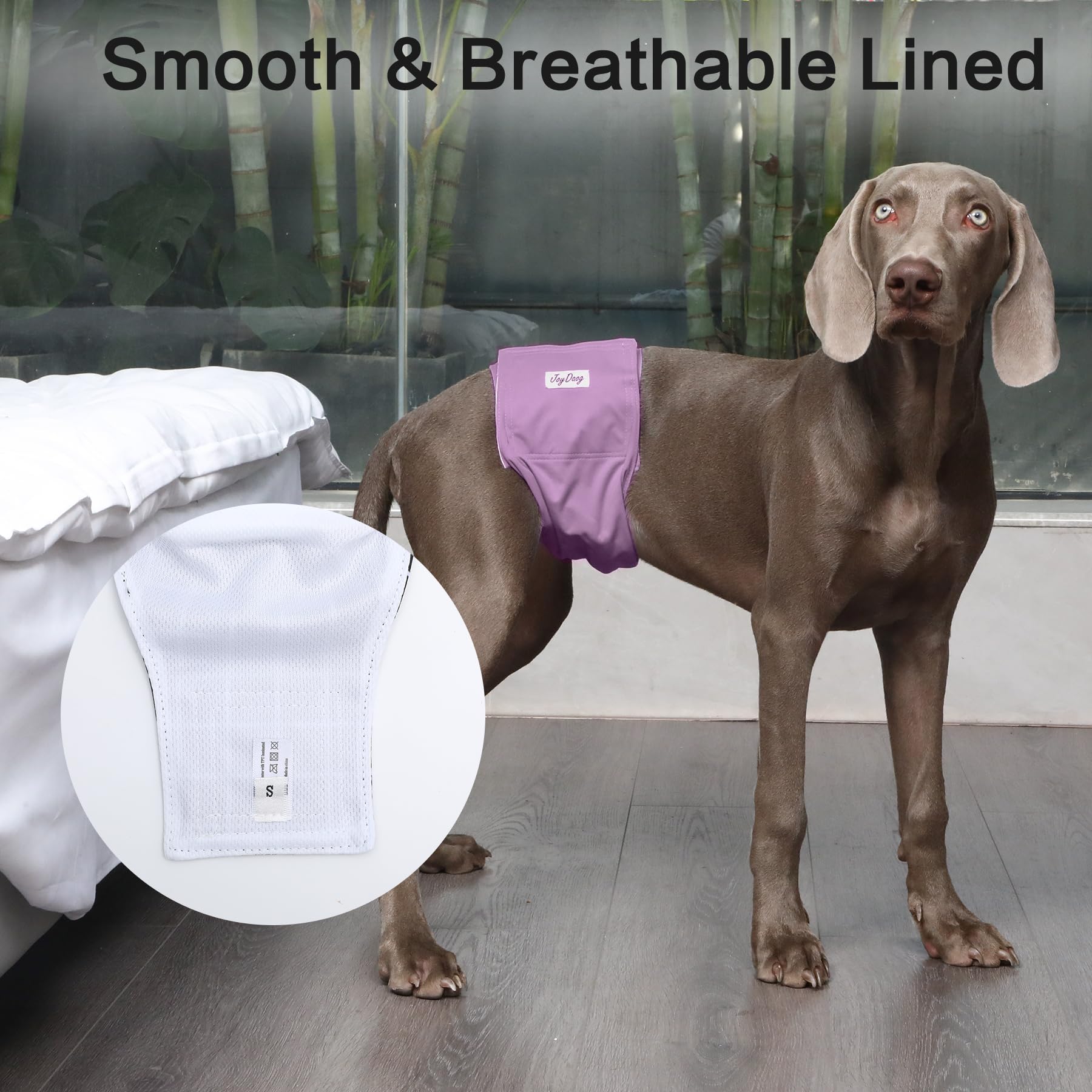 JoyDaog L fits waist 16–19.9 inches for male dogs.