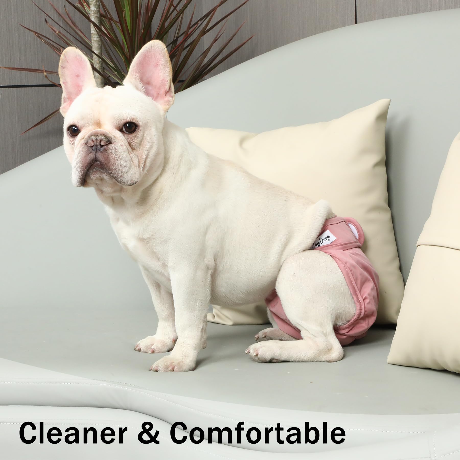 JoyDaog reusable washable design reduces waste and cost