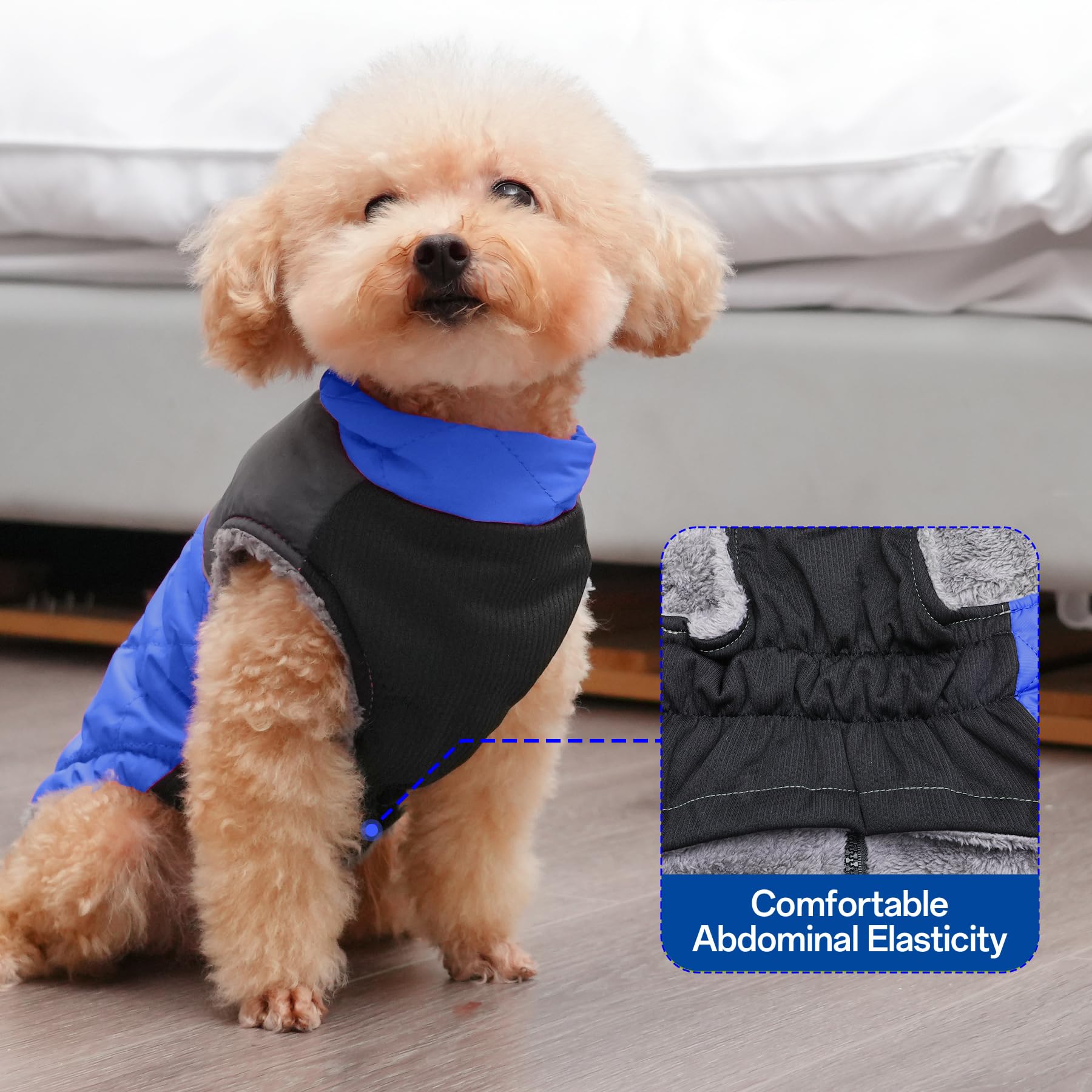 JoyDaog size M chest 40-46 cm fits small dogs.