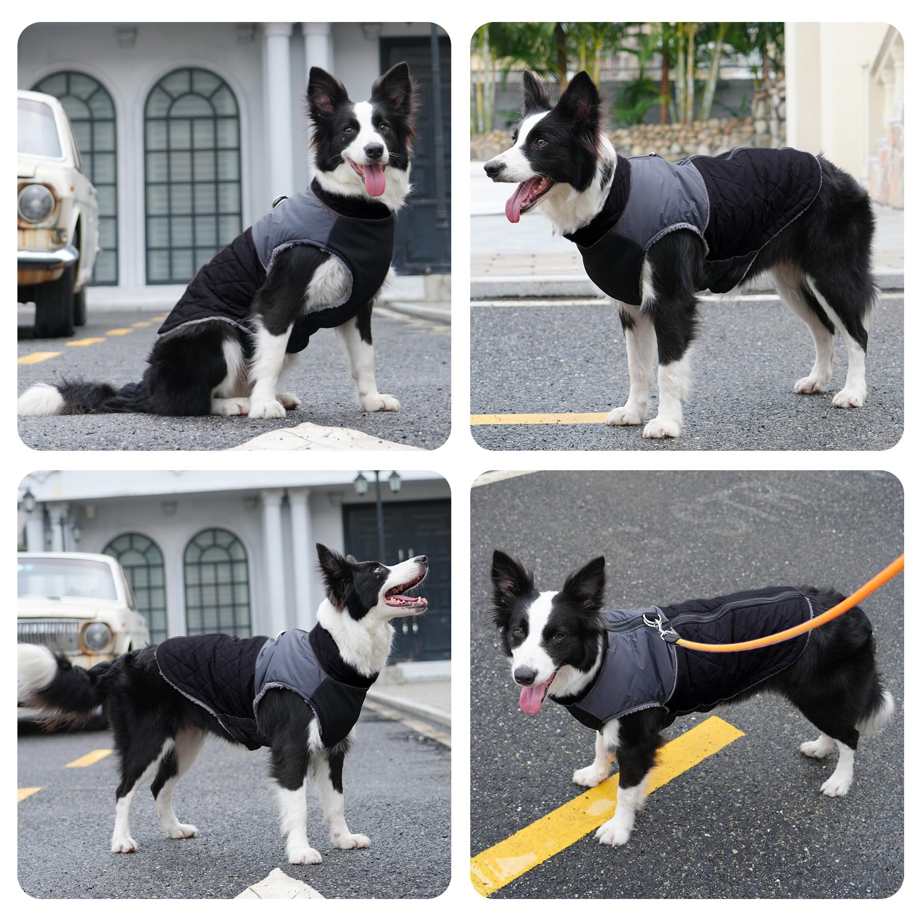 JoyDaog size S guide helps ensure proper chest-fit for dogs.
