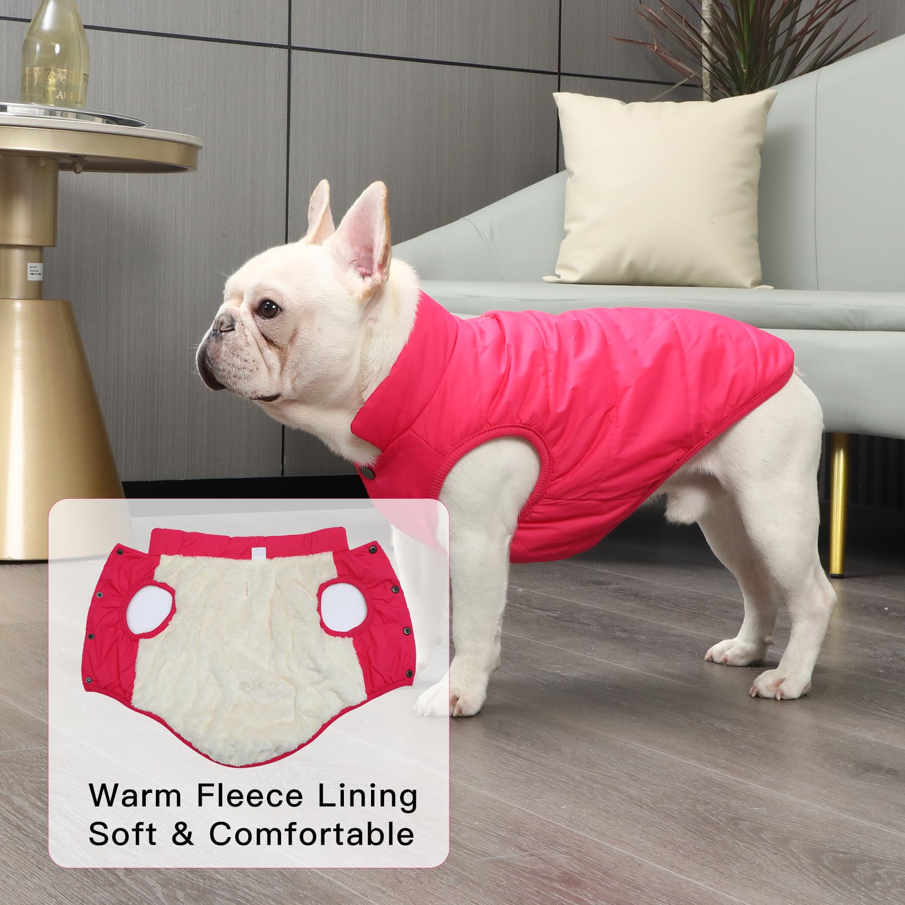JoyDaog small coat with elastic hem and waist for snug fit