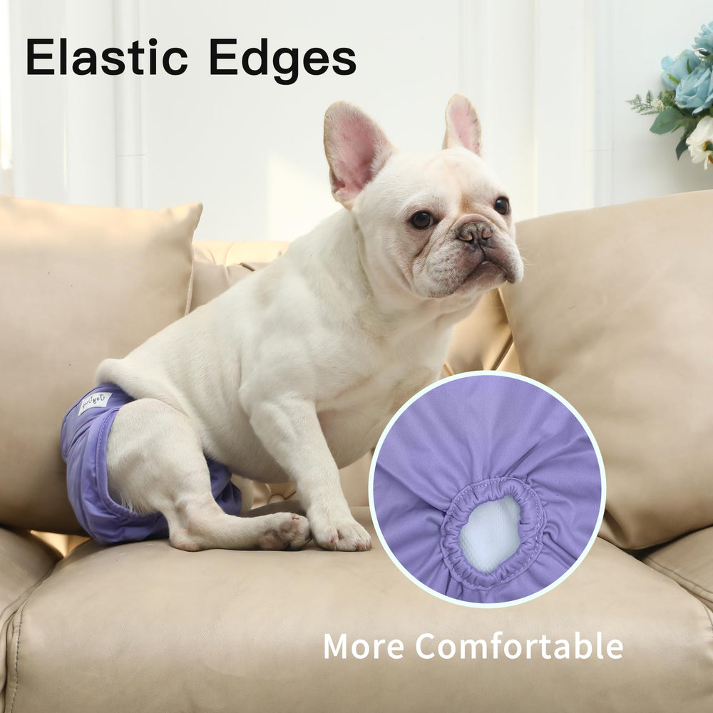 JoyDaog small dog heat protection diaper supports discreet use