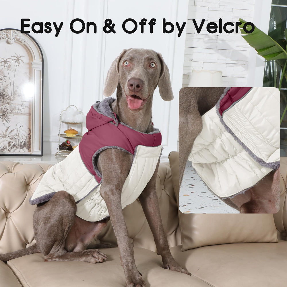 JoyDaog size M suits chest girth 37.1–45 cm for small dogs.