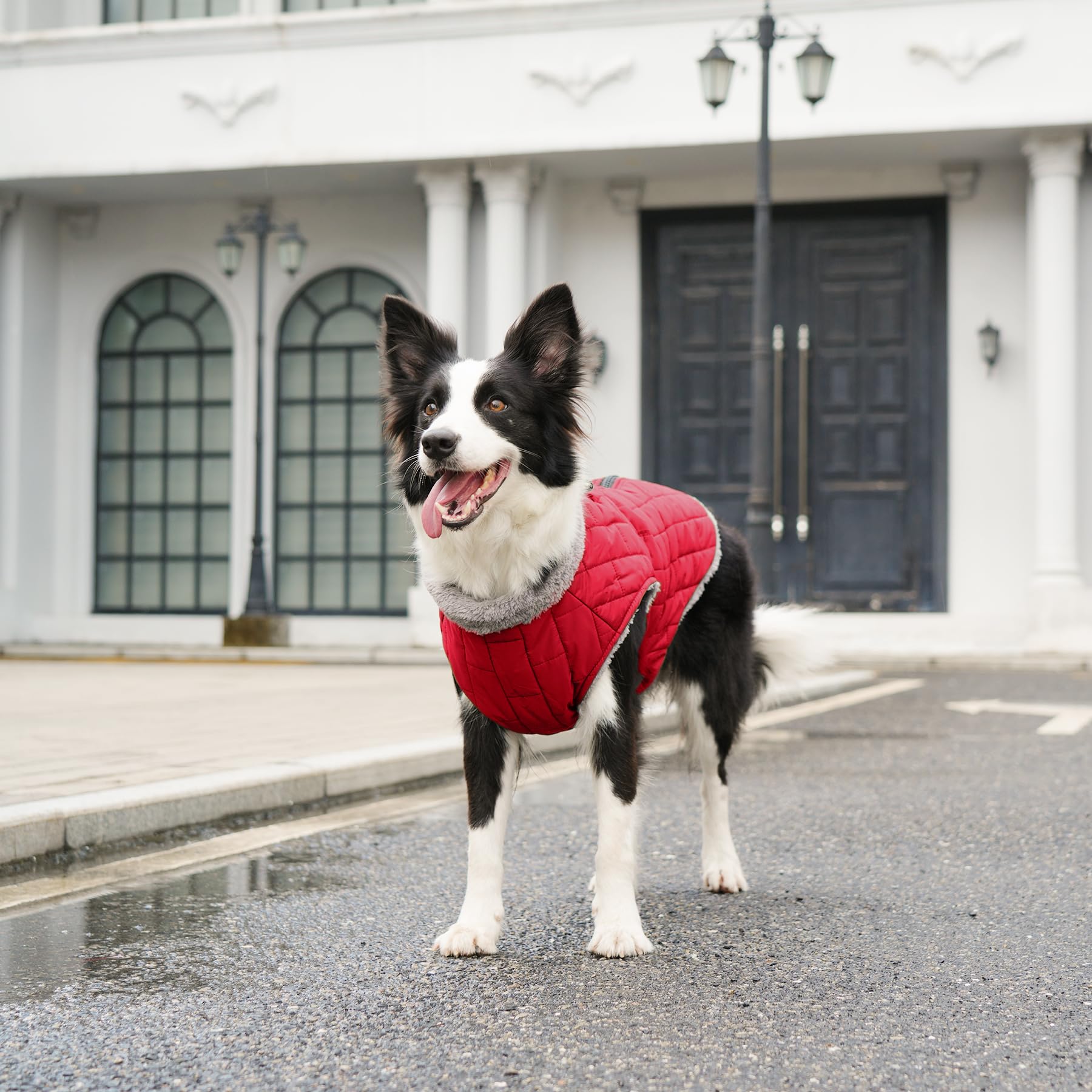 JoyDaog coat care guide showing machine washable ease