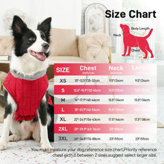 JoyDaog coat with two PVC-sealed D-rings for leash security