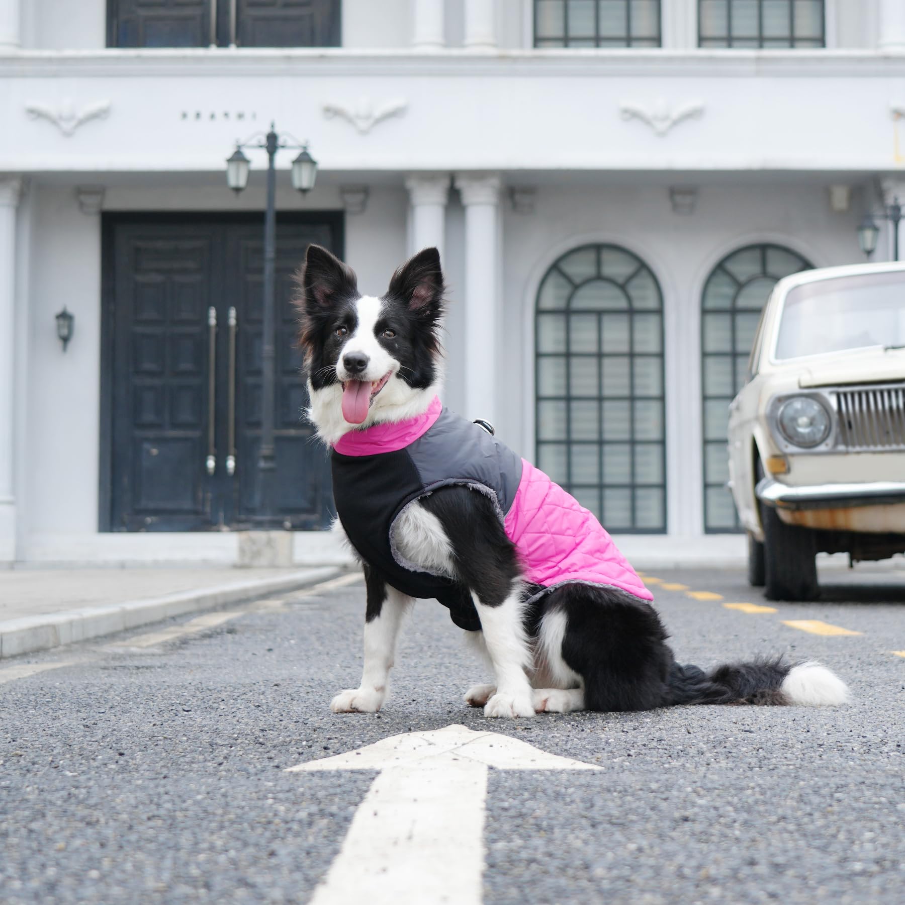 JoyDaog warm fleece dog coat pink leash-ready design for daily walks.