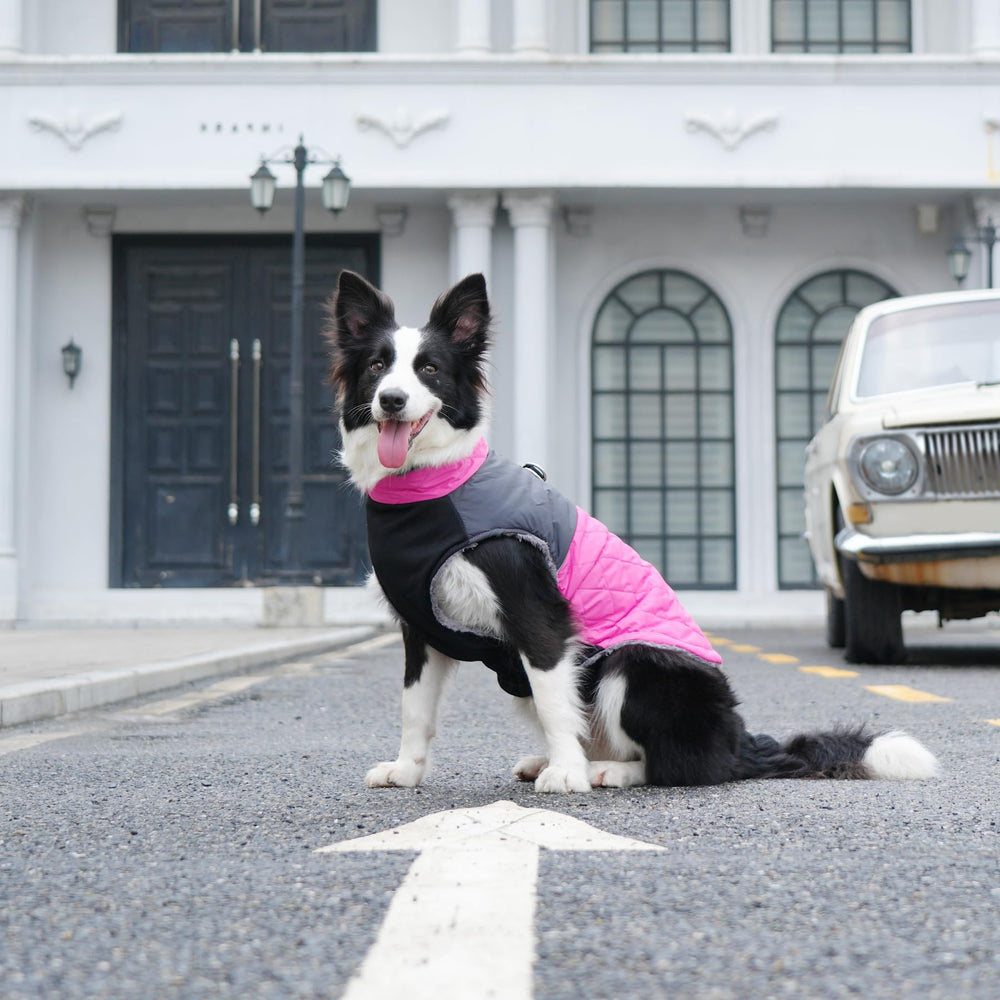 JoyDaog warm fleece dog coat pink leash-ready design for daily walks.