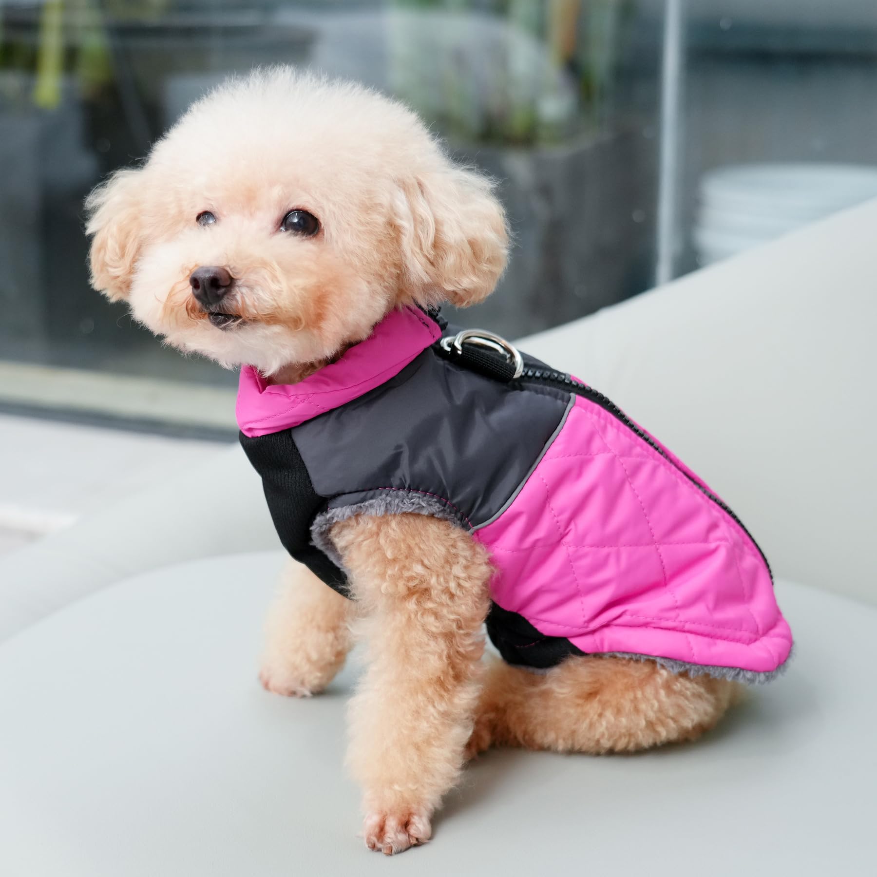 JoyDaog warm fleece dog coat pink machine washable for easy cleaning.