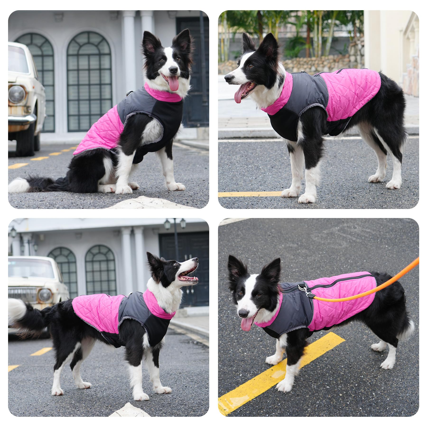 JoyDaog warm fleece dog coat pink model wearing for winter outdoors.
