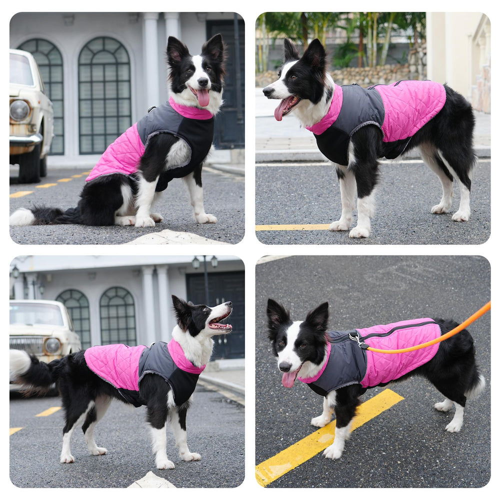 JoyDaog warm fleece dog coat pink model wearing for winter outdoors.
