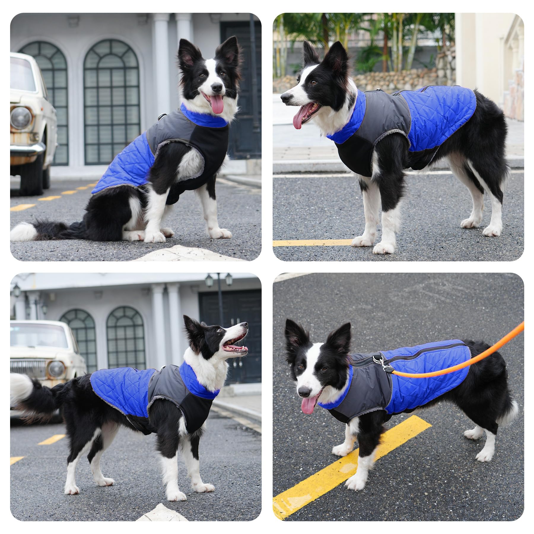 JoyDaog fleece lining adds warmth and soft comfort.