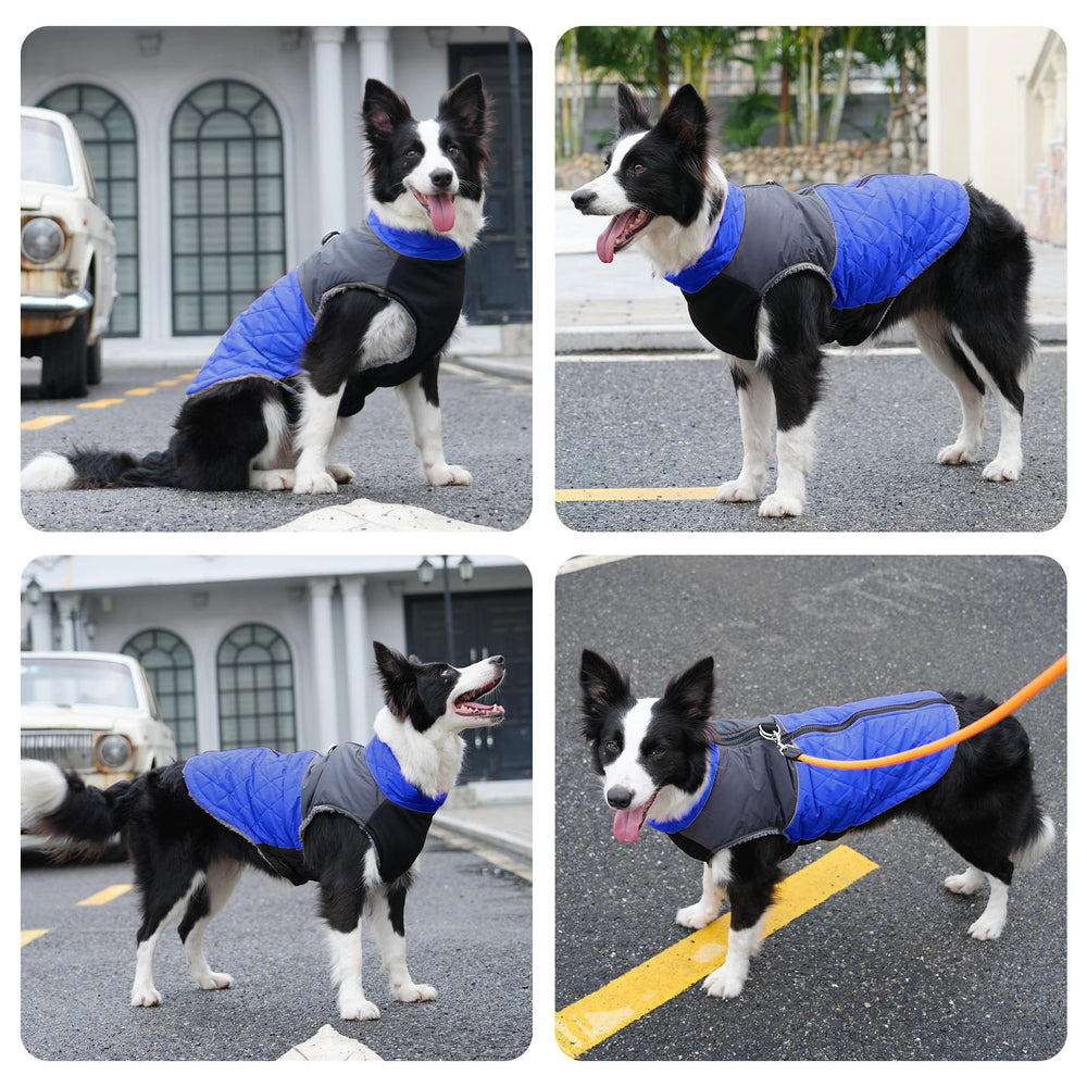 JoyDaog fleece lining adds warmth and soft comfort.