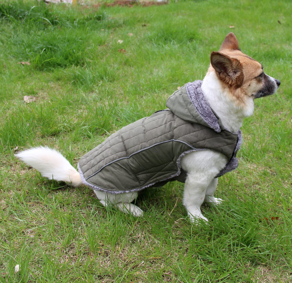 JoyDaog waterproof and wind-proof fabric protects against rain and gusts