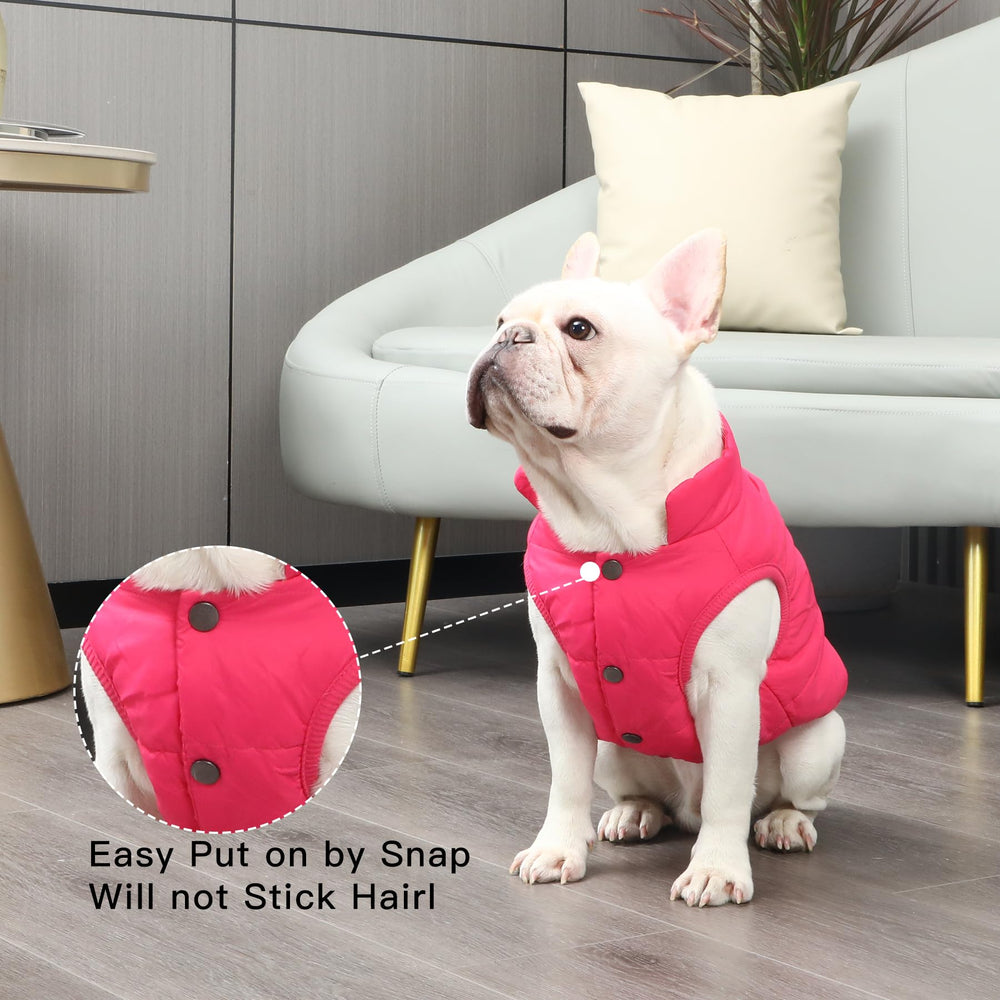 JoyDaog windproof outer layer keeps breeze out during chilly strolls
