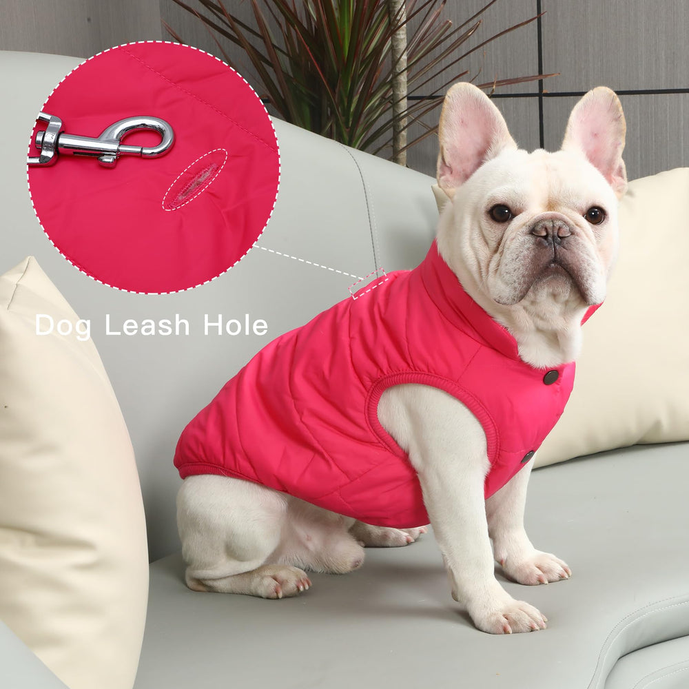 JoyDaog lightweight fleece coat ideal for daily winter walks