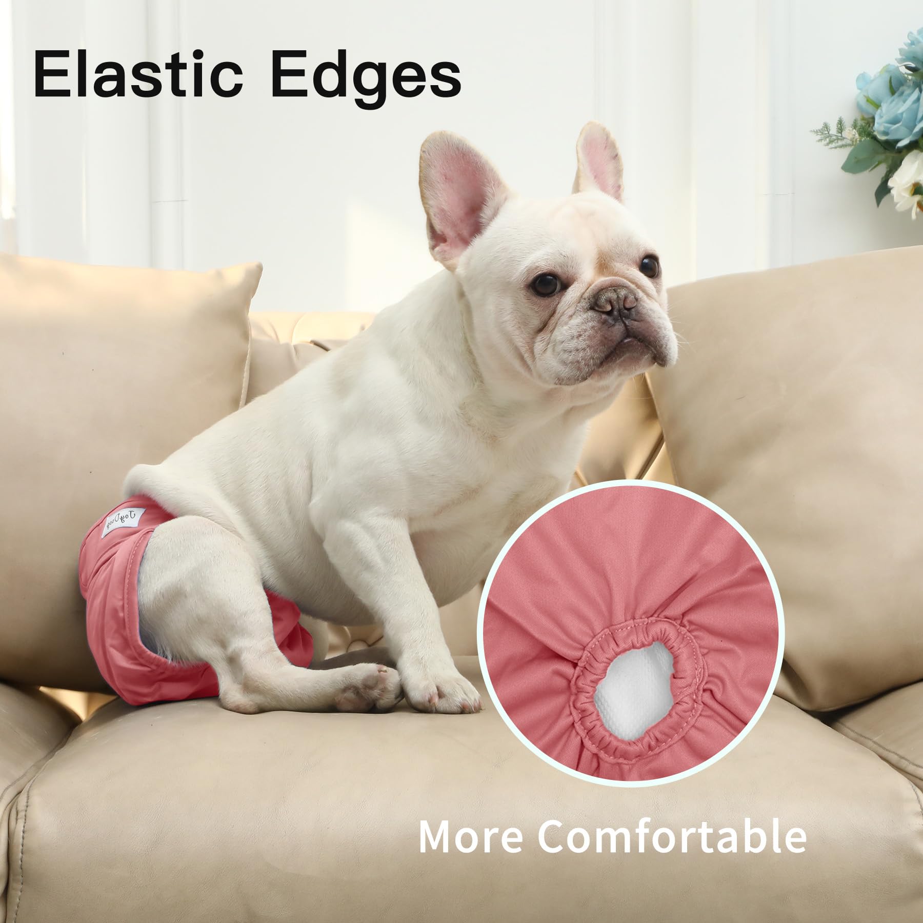 JoyDaog XXL size measurement guide image helps pick the right fit