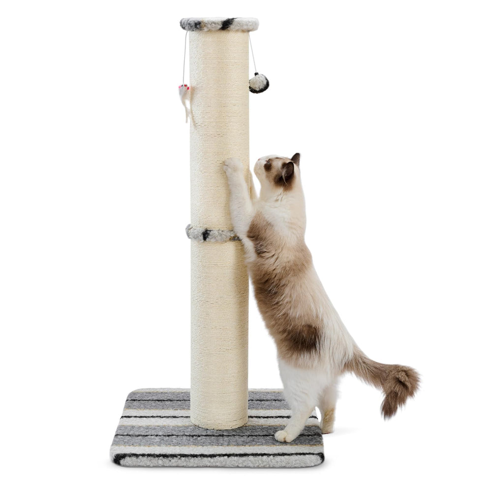 Joydeco cat scratching post 34in height encourages full-body stretch and active play.