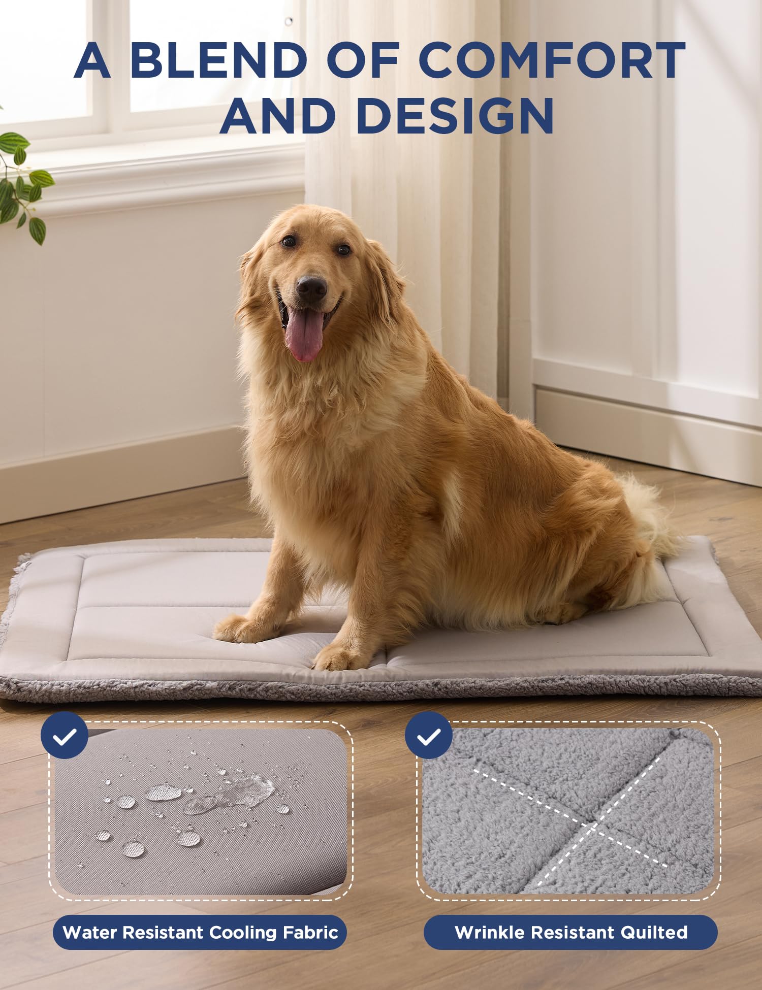 Joydeco kennel, crate, or car-friendly pad for versatile resting spots.