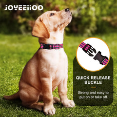 Joyeeiioo martingale collar durable nylon for everyday wear