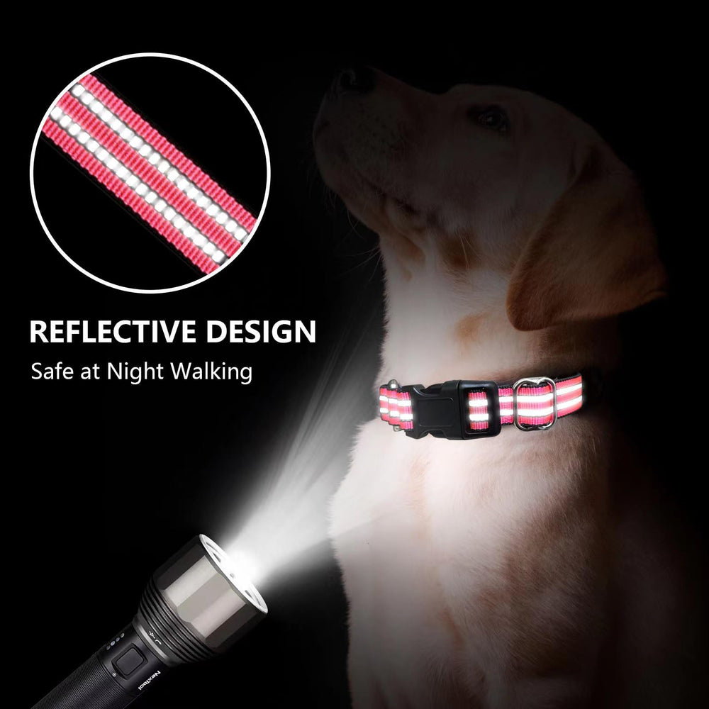 Joyeeiioo martingale collar reflective threads for safer night walks