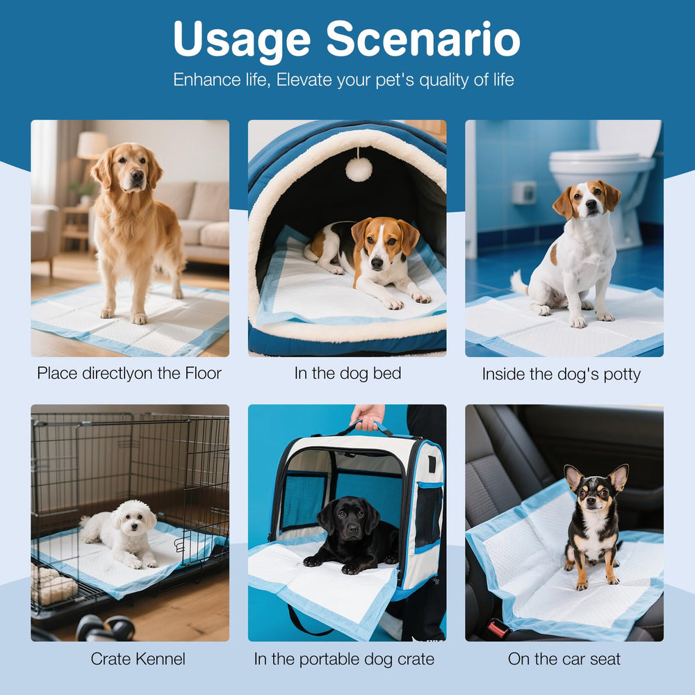 joyeux Daily multi-use pad used as crate liner and travel mat