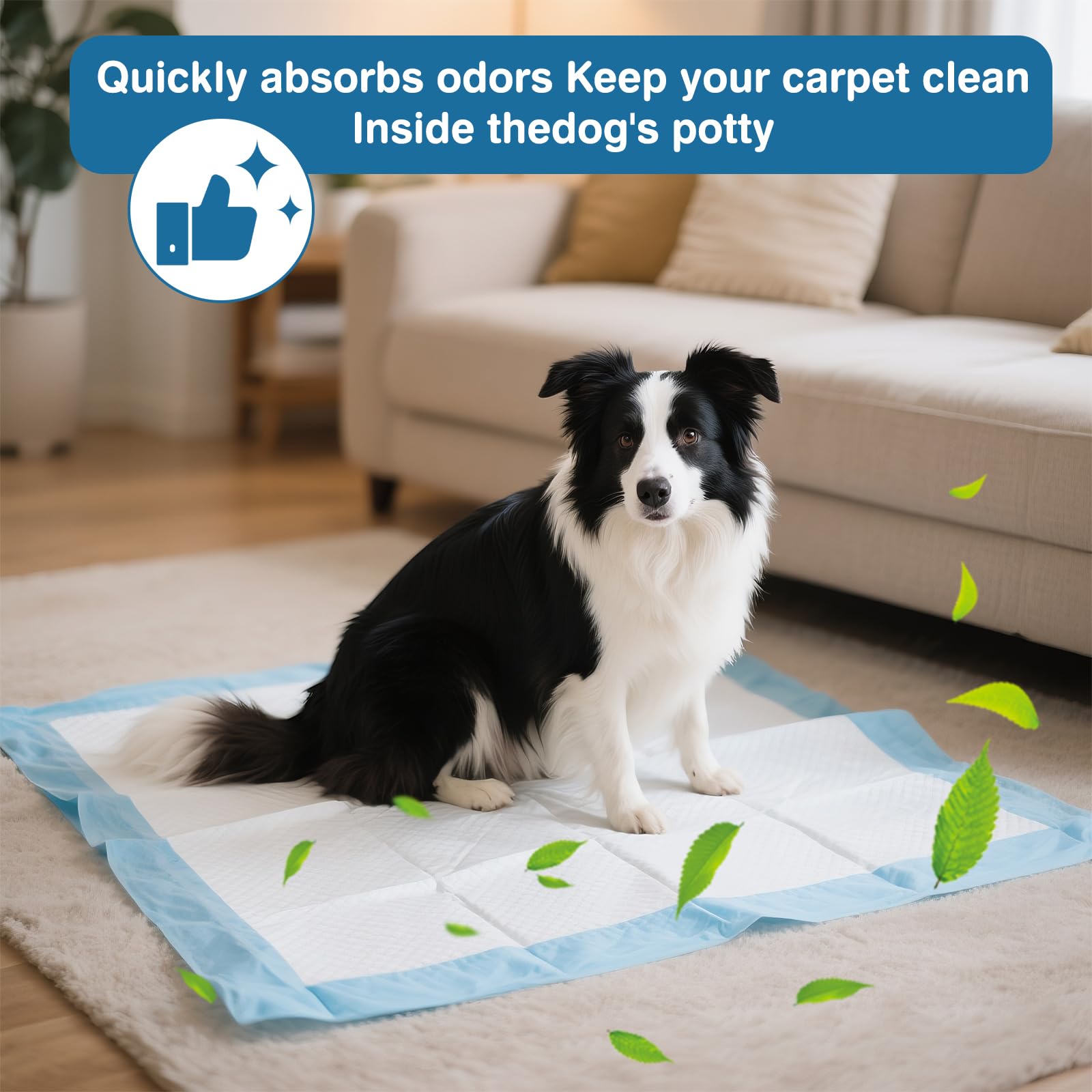 joyeux Daily unscented odor-control keeps spaces pet-friendly