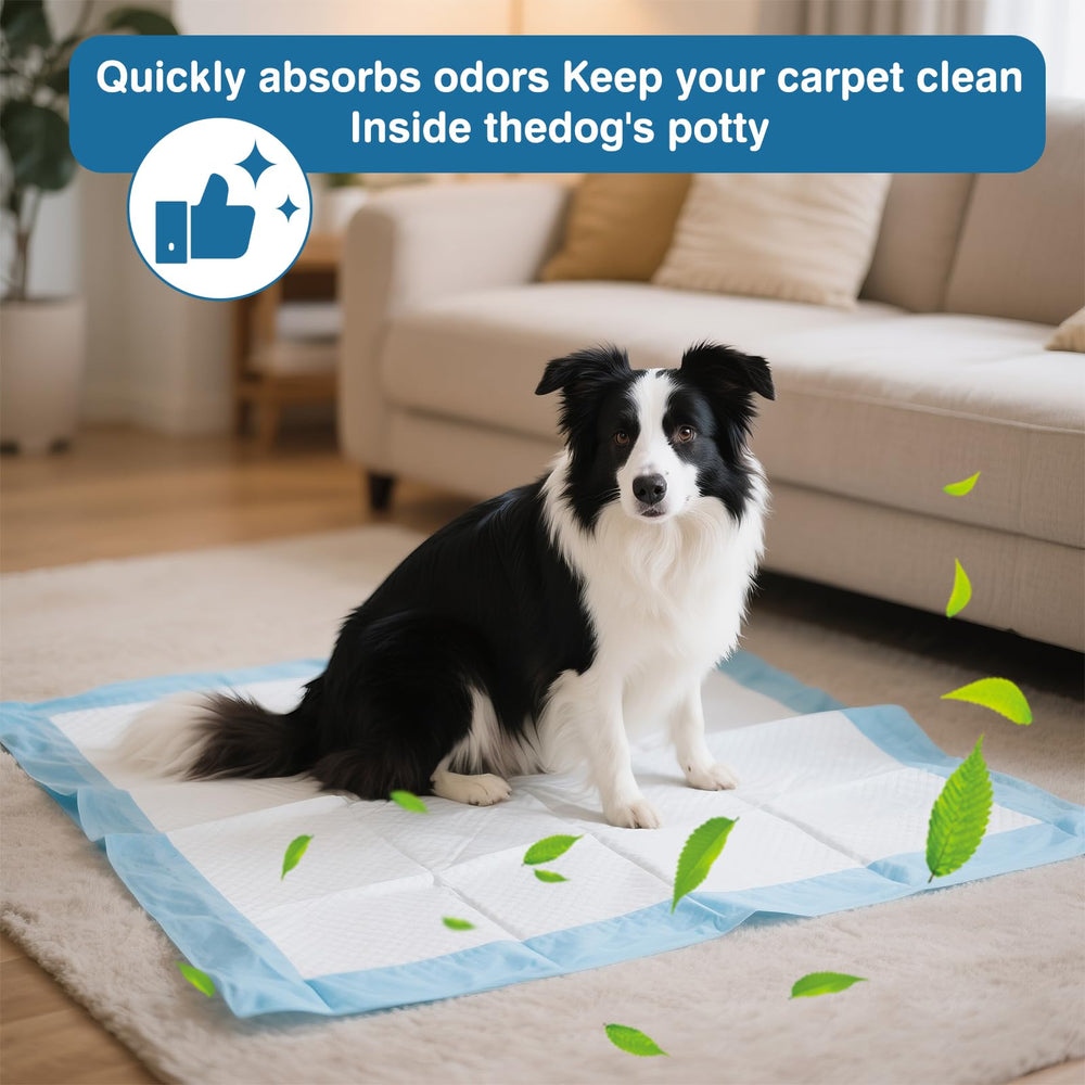 joyeux Daily unscented odor-control keeps spaces pet-friendly