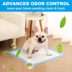 JoyFurEver pads demonstrate quick-dry absorption in real-use scenario