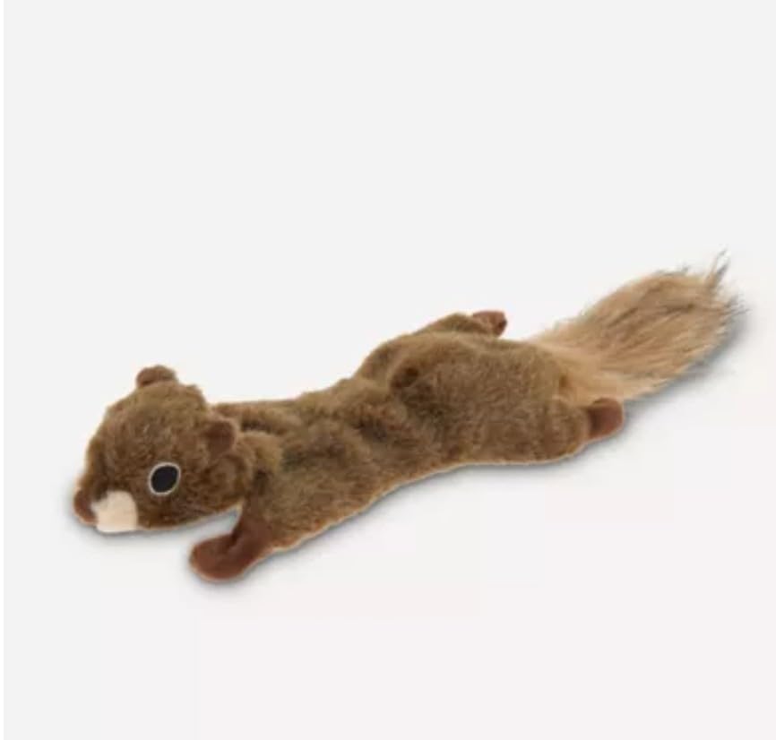 Joyhound gift-ready packaging for a thoughtful pet gift.