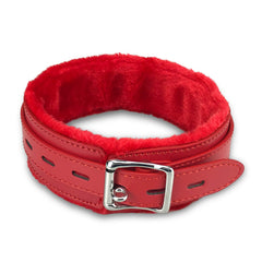 JOYMIN heavy-duty 3-3ft leash with rotatable hook provides secure control