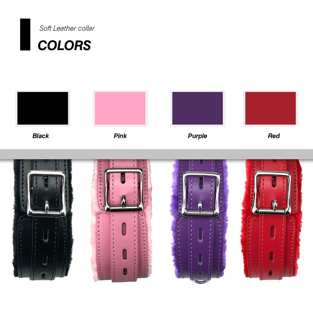 JOYMIN packaged collar and leash image shows complete ready-to-use set