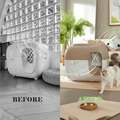 Joymiuz Grass Pomelo scent freshens indoor air and neutralizes litter odors.
