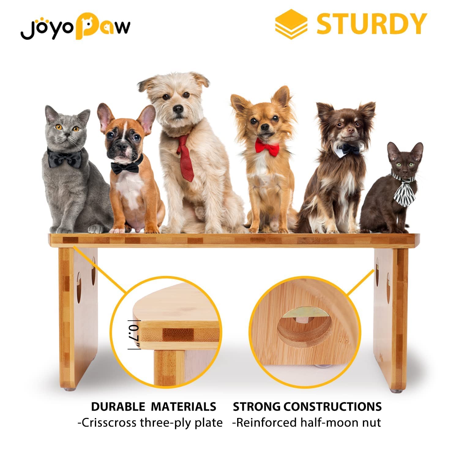 JOYOPAW 10-inch tall feeder shown in a cozy kitchen setting