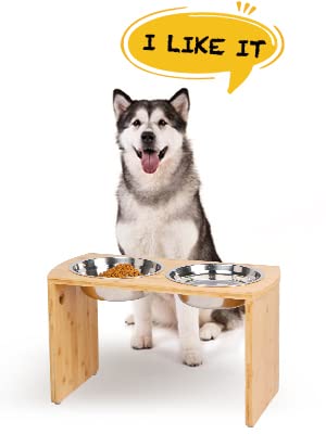 Joyopaw natural bamboo feeder in use during daily feeding sessions