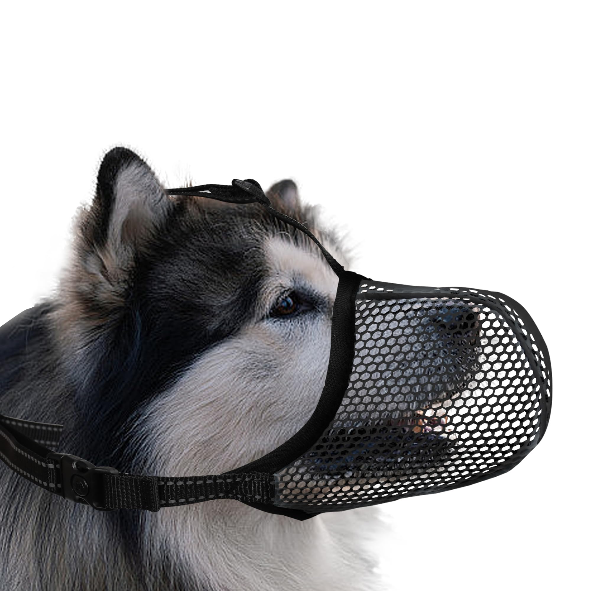JOYPAWS basket muzzle with breathable air mesh keeps extra large dogs cooler on walks.