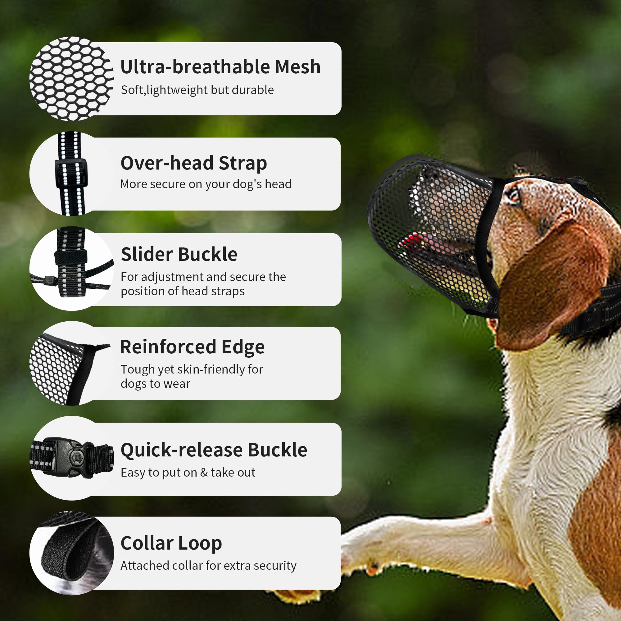 JOYPAWS durable nylon construction stands up to daily use and wear.