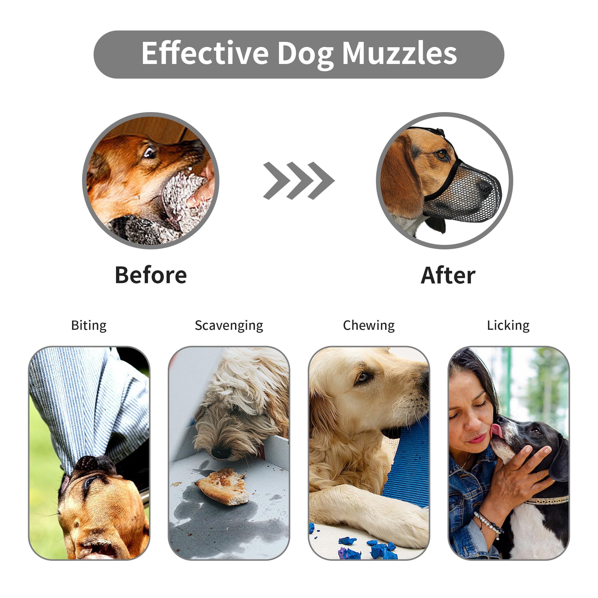 JOYPAWS muzzle features reflective straps for safety during night walks.