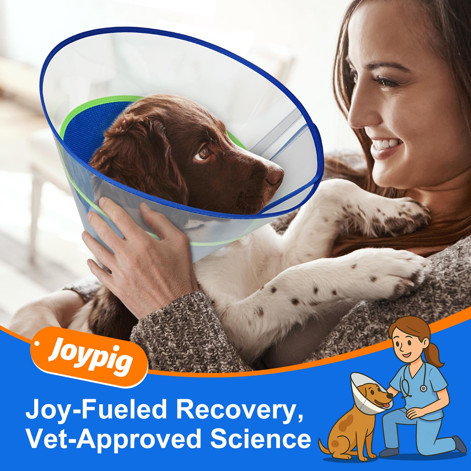 Joypig cone collar protects hind legs during healing and daily activity.