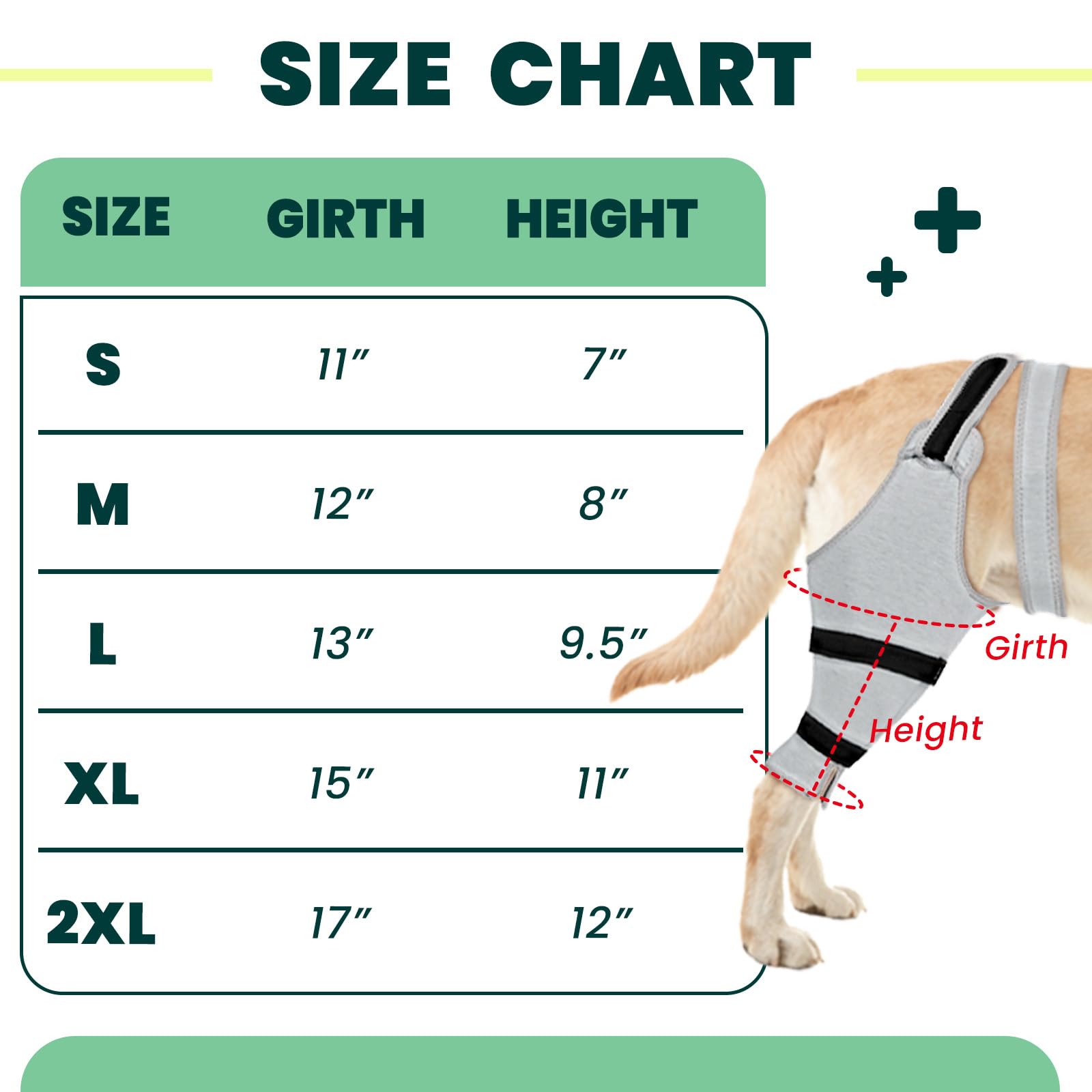 Joypig rear leg sleeve ideal for active dogs during walks and play