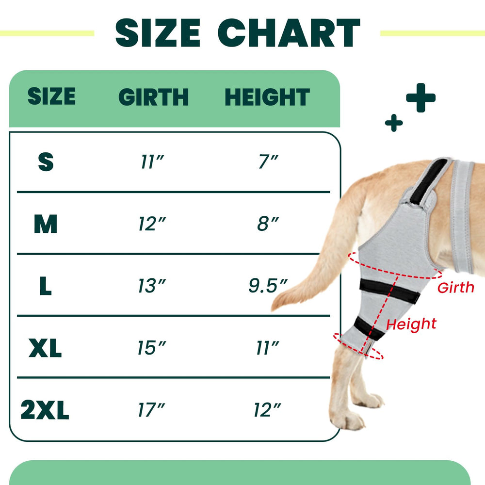 Joypig rear leg sleeve ideal for active dogs during walks and play