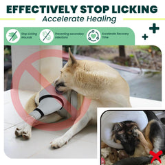 Joypig rear leg sleeve adjustable straps secured on a dog's leg