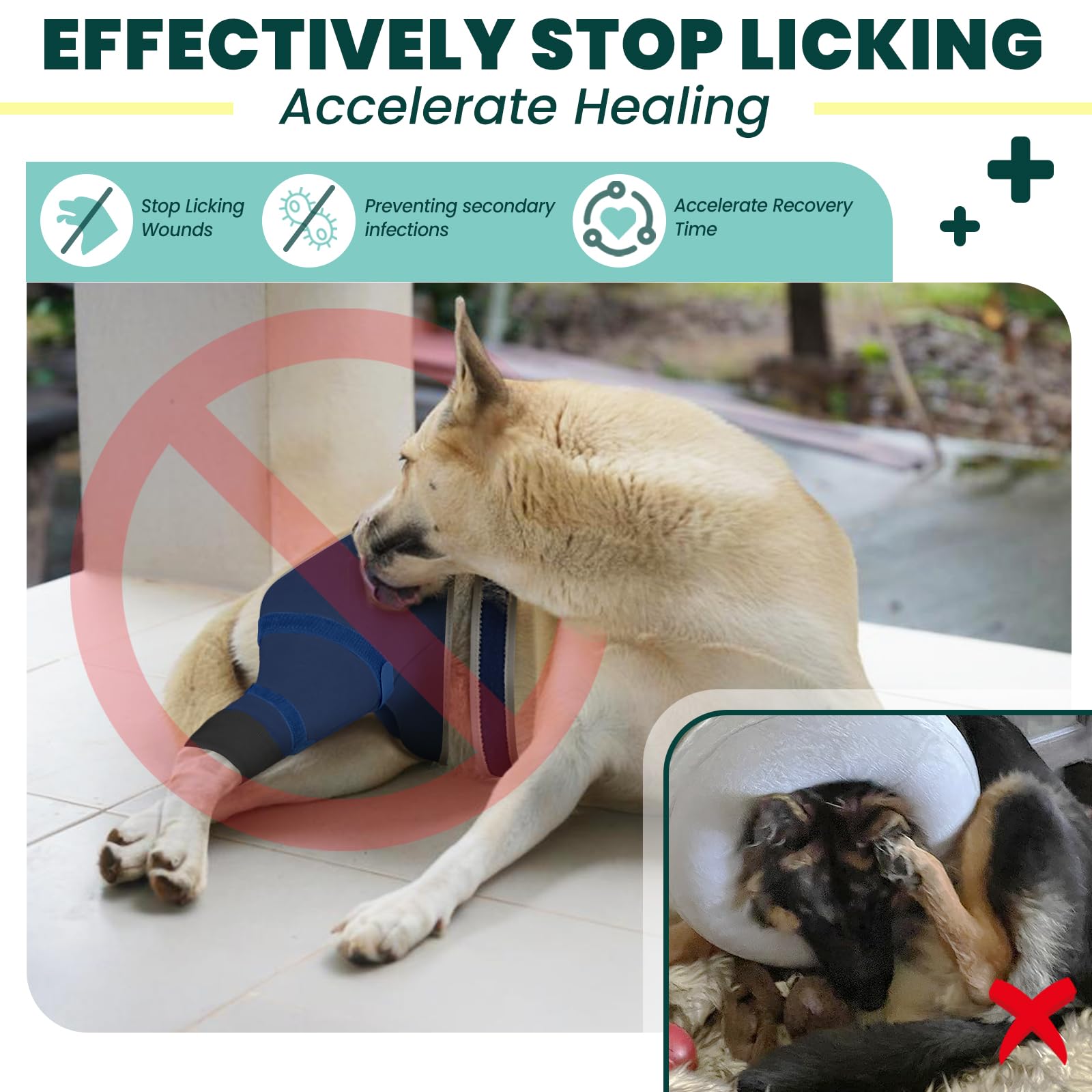 Joypig dog rear leg sleeve being applied showing user-friendly fit