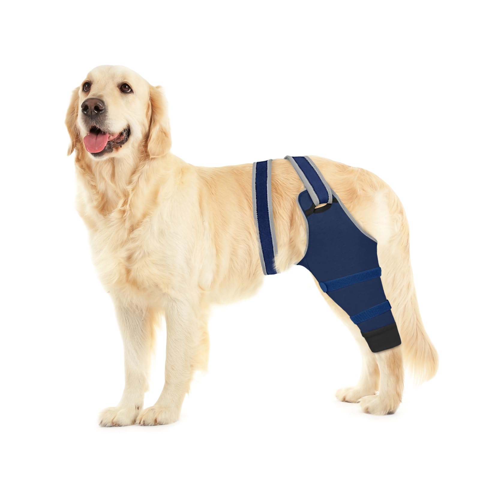 Joypig dog rear leg sleeve in deep blue protects wounds during recovery
