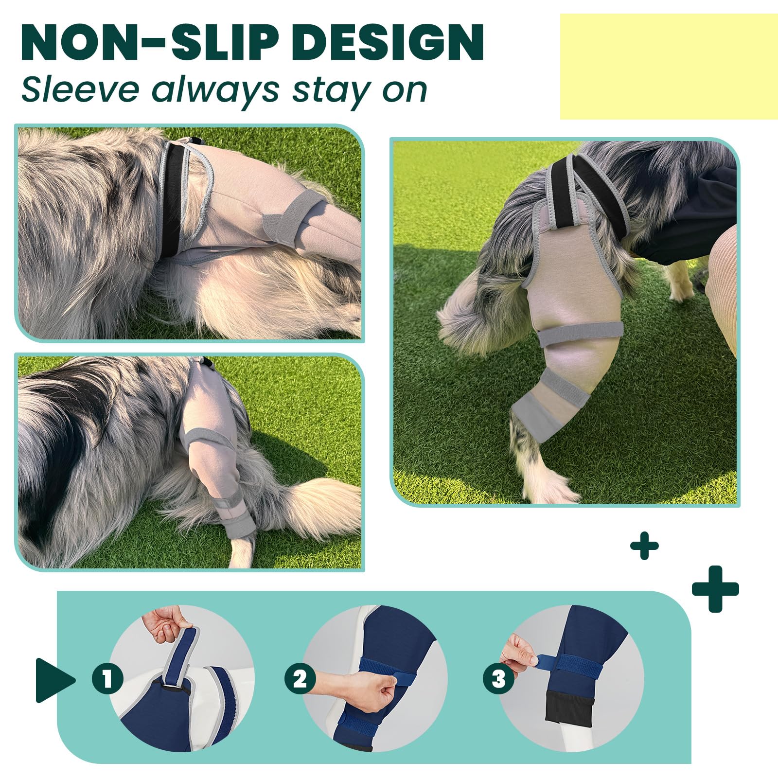 Joypig step-in application simplifies fitting for first-time pet parents