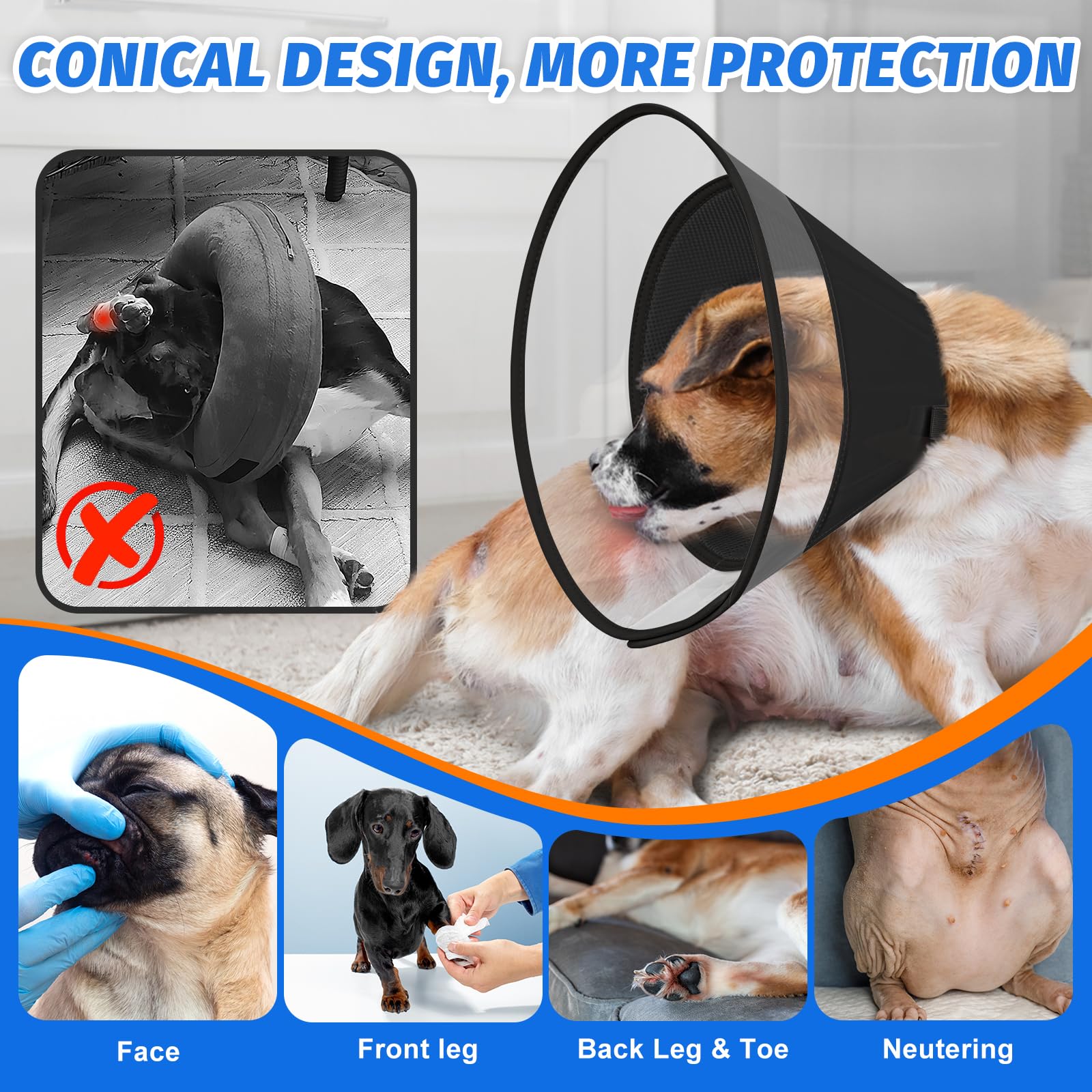 Joypig Elizabeth recovery collar worn demonstrates calm, distraction-free healing through design.