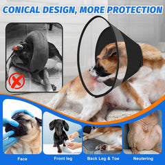 Joypig Elizabeth recovery collar worn demonstrates calm, distraction-free healing through design.