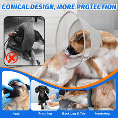 Joypig recovery cone post-surgery with clear visibility for monitoring healing